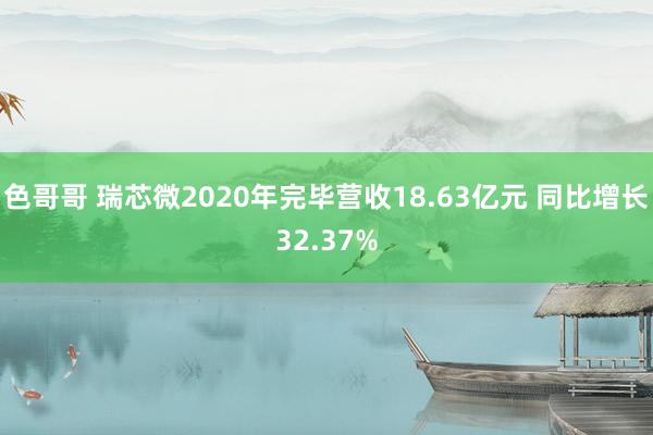 色哥哥 瑞芯微2020年完毕营收18.63亿元 同比增长32.37%