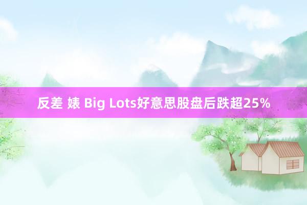 反差 婊 Big Lots好意思股盘后跌超25%