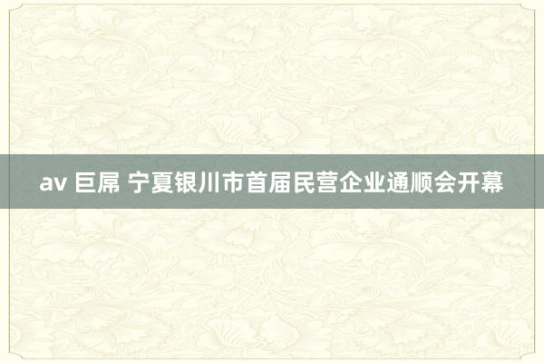 av 巨屌 宁夏银川市首届民营企业通顺会开幕