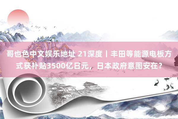 哥也色中文娱乐地址 21深度丨丰田等能源电板方式获补贴3500亿日元，日本政府意图安在？