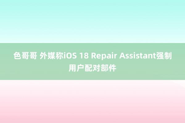 色哥哥 外媒称iOS 18 Repair Assistant强制用户配对部件