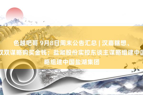 色越吧哥 9月8日周末公告汇总 | 汉嘉瞎想、合肥城建双双谋略购买金钱；盐湖股份实控东谈主谋略组建中国盐湖集团