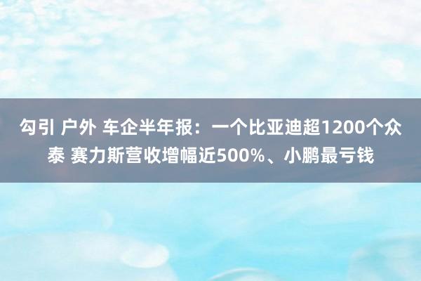 勾引 户外 车企半年报：一个比亚迪超1200个众泰 赛力斯营收增幅近500%、小鹏最亏钱