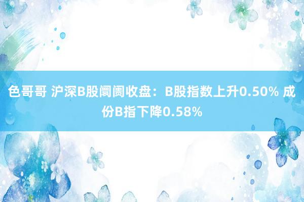 色哥哥 沪深B股阛阓收盘：B股指数上升0.50% 成份B指下降0.58%