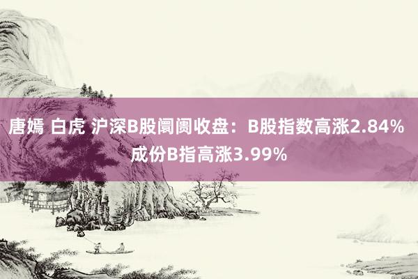 唐嫣 白虎 沪深B股阛阓收盘：B股指数高涨2.84% 成份B指高涨3.99%