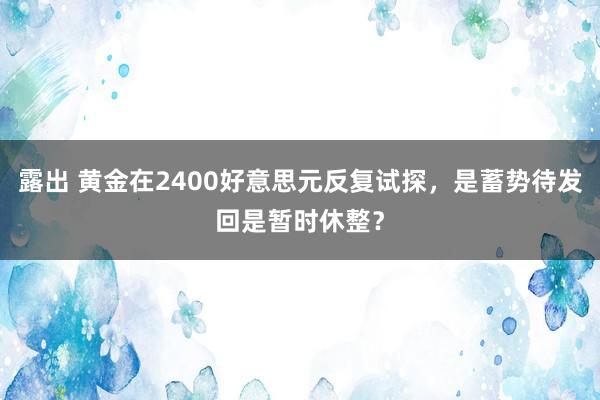 露出 黄金在2400好意思元反复试探，是蓄势待发回是暂时休整？