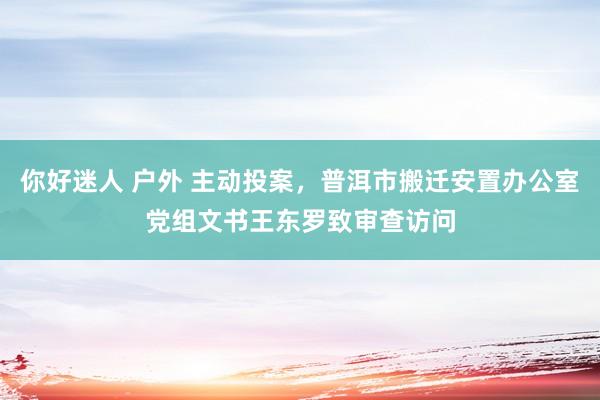 你好迷人 户外 主动投案，普洱市搬迁安置办公室党组文书王东罗致审查访问