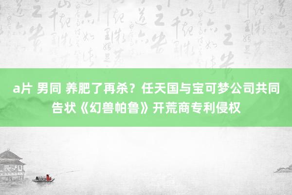 a片 男同 养肥了再杀？任天国与宝可梦公司共同告状《幻兽帕鲁》开荒商专利侵权