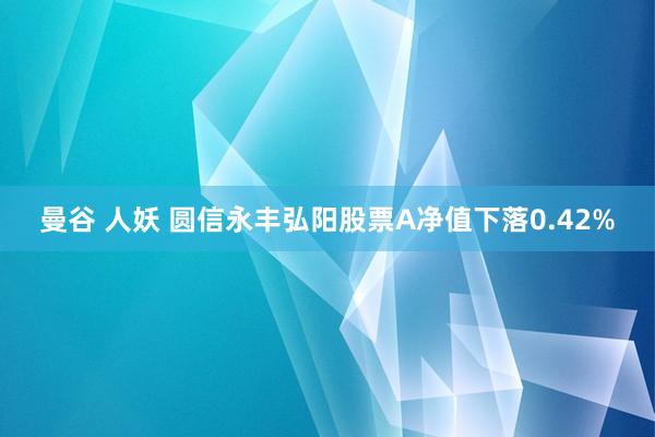 曼谷 人妖 圆信永丰弘阳股票A净值下落0.42%