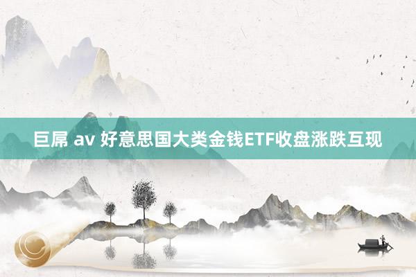 巨屌 av 好意思国大类金钱ETF收盘涨跌互现