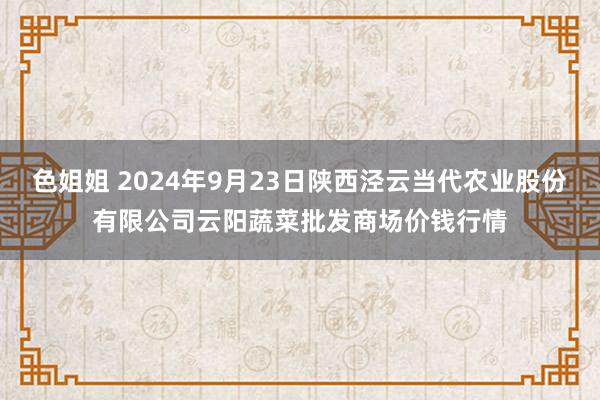 色姐姐 2024年9月23日陕西泾云当代农业股份有限公司云阳蔬菜批发商场价钱行情