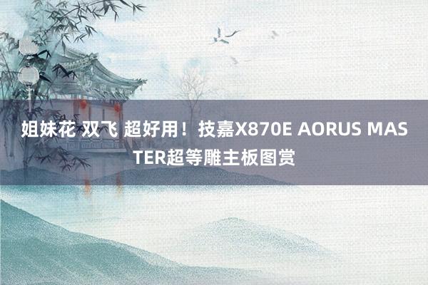 姐妹花 双飞 超好用！技嘉X870E AORUS MASTER超等雕主板图赏