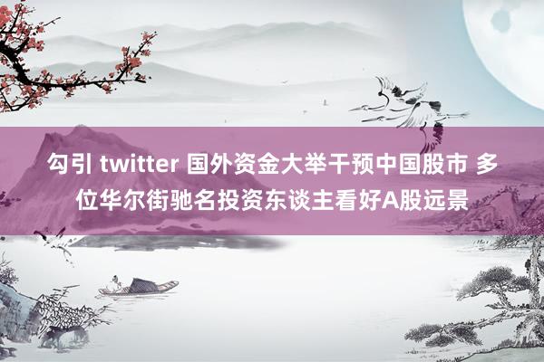 勾引 twitter 国外资金大举干预中国股市 多位华尔街驰名投资东谈主看好A股远景