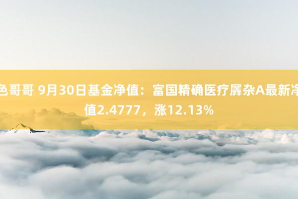 色哥哥 9月30日基金净值：富国精确医疗羼杂A最新净值2.4777，涨12.13%