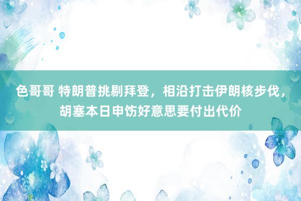 色哥哥 特朗普挑剔拜登，相沿打击伊朗核步伐，胡塞本日申饬好意思要付出代价