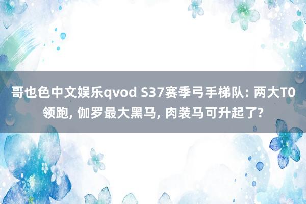 哥也色中文娱乐qvod S37赛季弓手梯队: 两大T0领跑， 伽罗最大黑马， 肉装马可升起了?