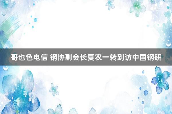 哥也色电信 钢协副会长夏农一转到访中国钢研