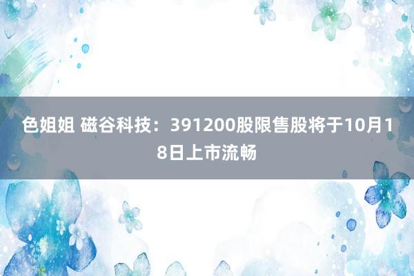 色姐姐 磁谷科技：391200股限售股将于10月18日上市流畅