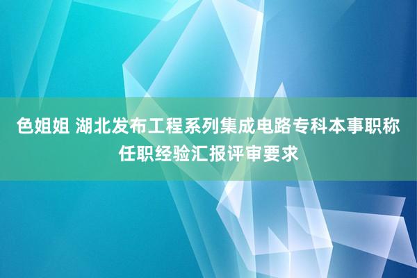 色姐姐 湖北发布工程系列集成电路专科本事职称任职经验汇报评审要求