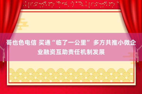 哥也色电信 买通“临了一公里” 多方共推小微企业融资互助责任机制发展