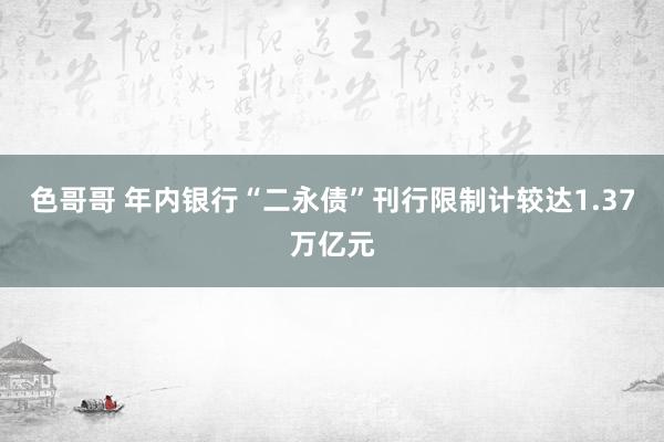 色哥哥 年内银行“二永债”刊行限制计较达1.37万亿元