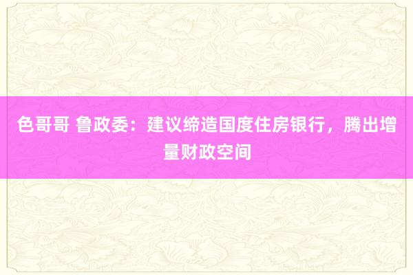 色哥哥 鲁政委：建议缔造国度住房银行，腾出增量财政空间