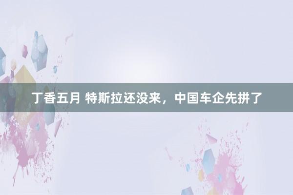 丁香五月 特斯拉还没来，中国车企先拼了