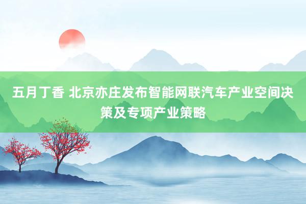 五月丁香 北京亦庄发布智能网联汽车产业空间决策及专项产业策略