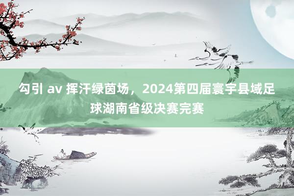 勾引 av 挥汗绿茵场，2024第四届寰宇县域足球湖南省级决赛完赛