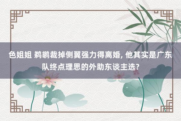 色姐姐 鹈鹕裁掉侧翼强力得离婚， 他其实是广东队终点理思的外助东谈主选?