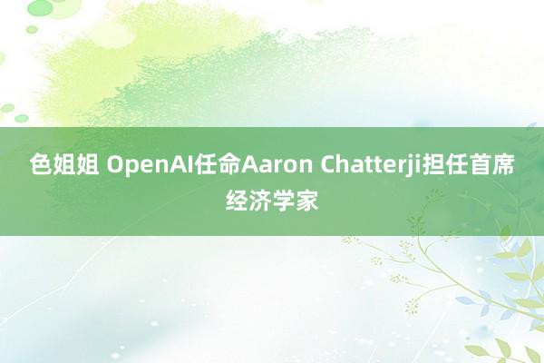 色姐姐 OpenAI任命Aaron Chatterji担任首席经济学家