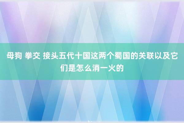 母狗 拳交 接头五代十国这两个蜀国的关联以及它们是怎么消一火的