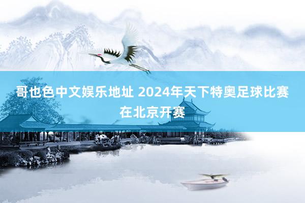 哥也色中文娱乐地址 2024年天下特奥足球比赛在北京开赛