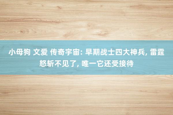 小母狗 文爱 传奇宇宙: 早期战士四大神兵， 雷霆怒斩不见了， 唯一它还受接待