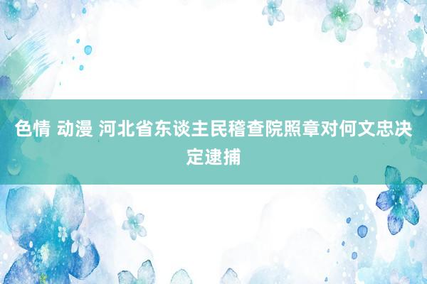 色情 动漫 河北省东谈主民稽查院照章对何文忠决定逮捕