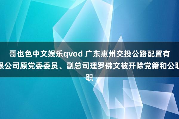 哥也色中文娱乐qvod 广东惠州交投公路配置有限公司原党委委员、副总司理罗佛文被开除党籍和公职