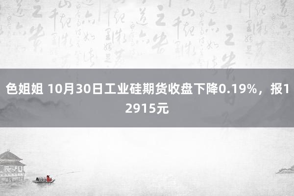 色姐姐 10月30日工业硅期货收盘下降0.19%，报12915元