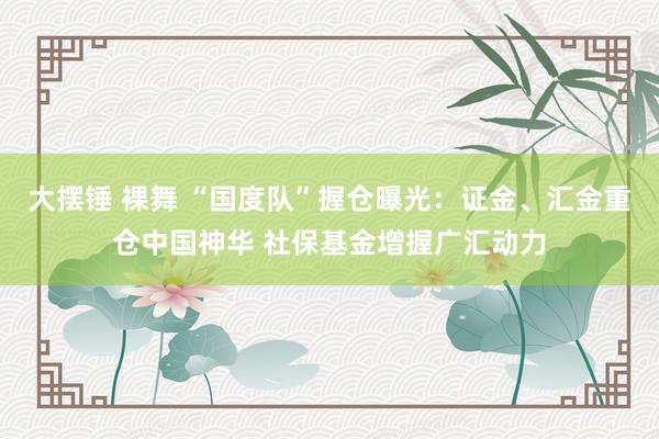 大摆锤 裸舞 “国度队”握仓曝光：证金、汇金重仓中国神华 社保基金增握广汇动力