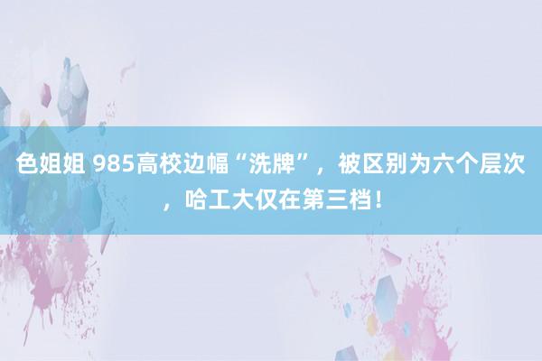 色姐姐 985高校边幅“洗牌”，被区别为六个层次，哈工大仅在第三档！