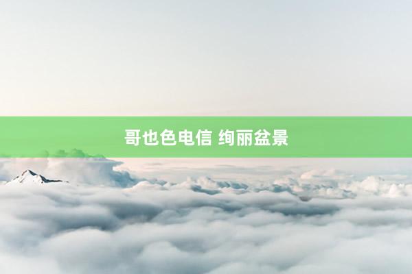 哥也色电信 绚丽盆景