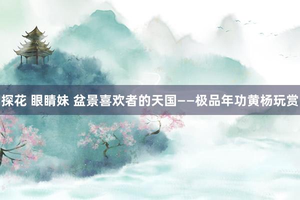 探花 眼睛妹 盆景喜欢者的天国——极品年功黄杨玩赏