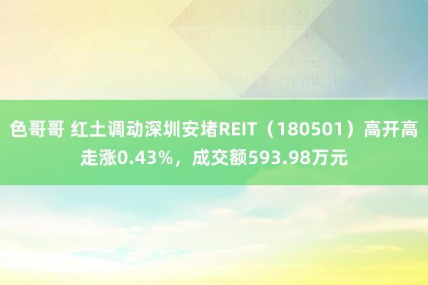 色哥哥 红土调动深圳安堵REIT（180501）高开高走涨0.43%，成交额593.98万元