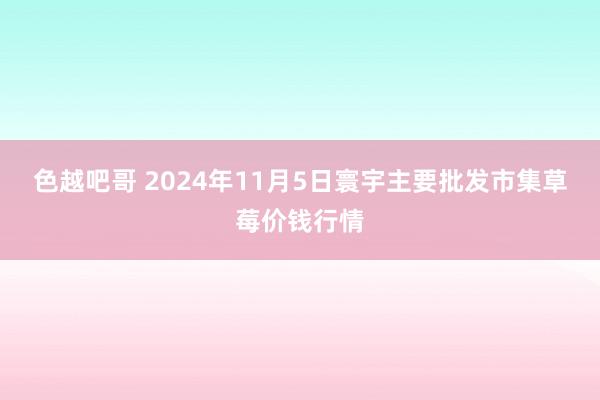 色越吧哥 2024年11月5日寰宇主要批发市集草莓价钱行情