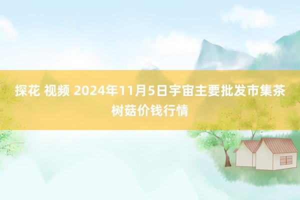 探花 视频 2024年11月5日宇宙主要批发市集茶树菇价钱行情