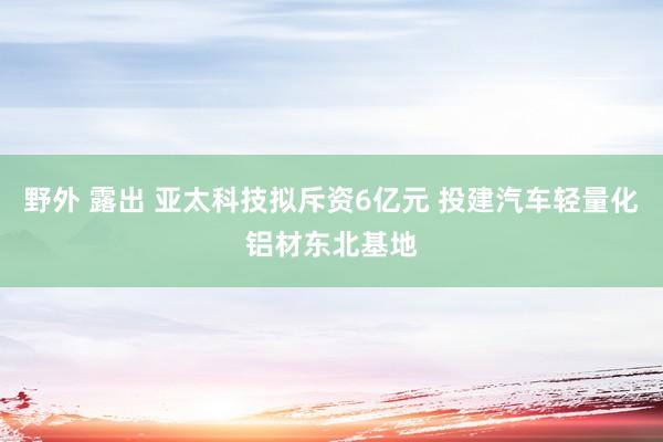 野外 露出 亚太科技拟斥资6亿元 投建汽车轻量化铝材东北基地