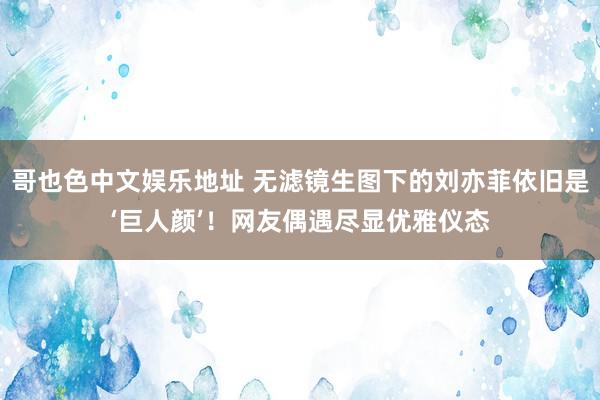 哥也色中文娱乐地址 无滤镜生图下的刘亦菲依旧是‘巨人颜’！网友偶遇尽显优雅仪态