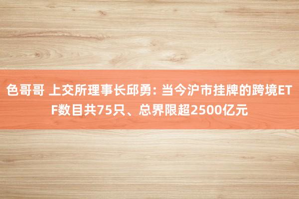 色哥哥 上交所理事长邱勇: 当今沪市挂牌的跨境ETF数目共75只、总界限超2500亿元