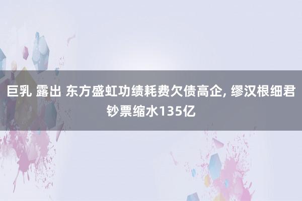 巨乳 露出 东方盛虹功绩耗费欠债高企， 缪汉根细君钞票缩水135亿