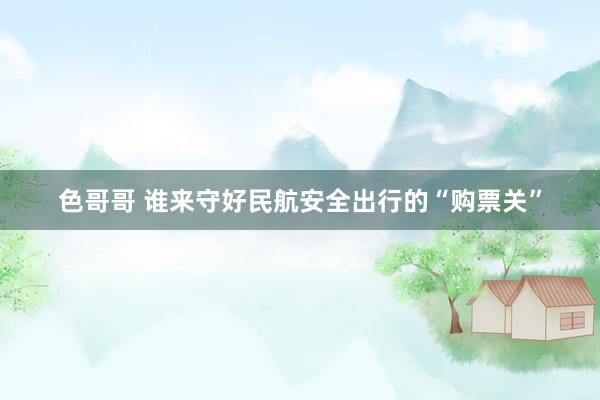 色哥哥 谁来守好民航安全出行的“购票关”