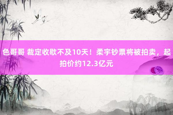 色哥哥 裁定收歇不及10天！柔宇钞票将被拍卖，起拍价约12.3亿元